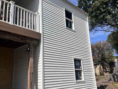 Vinyl Siding Painting Services